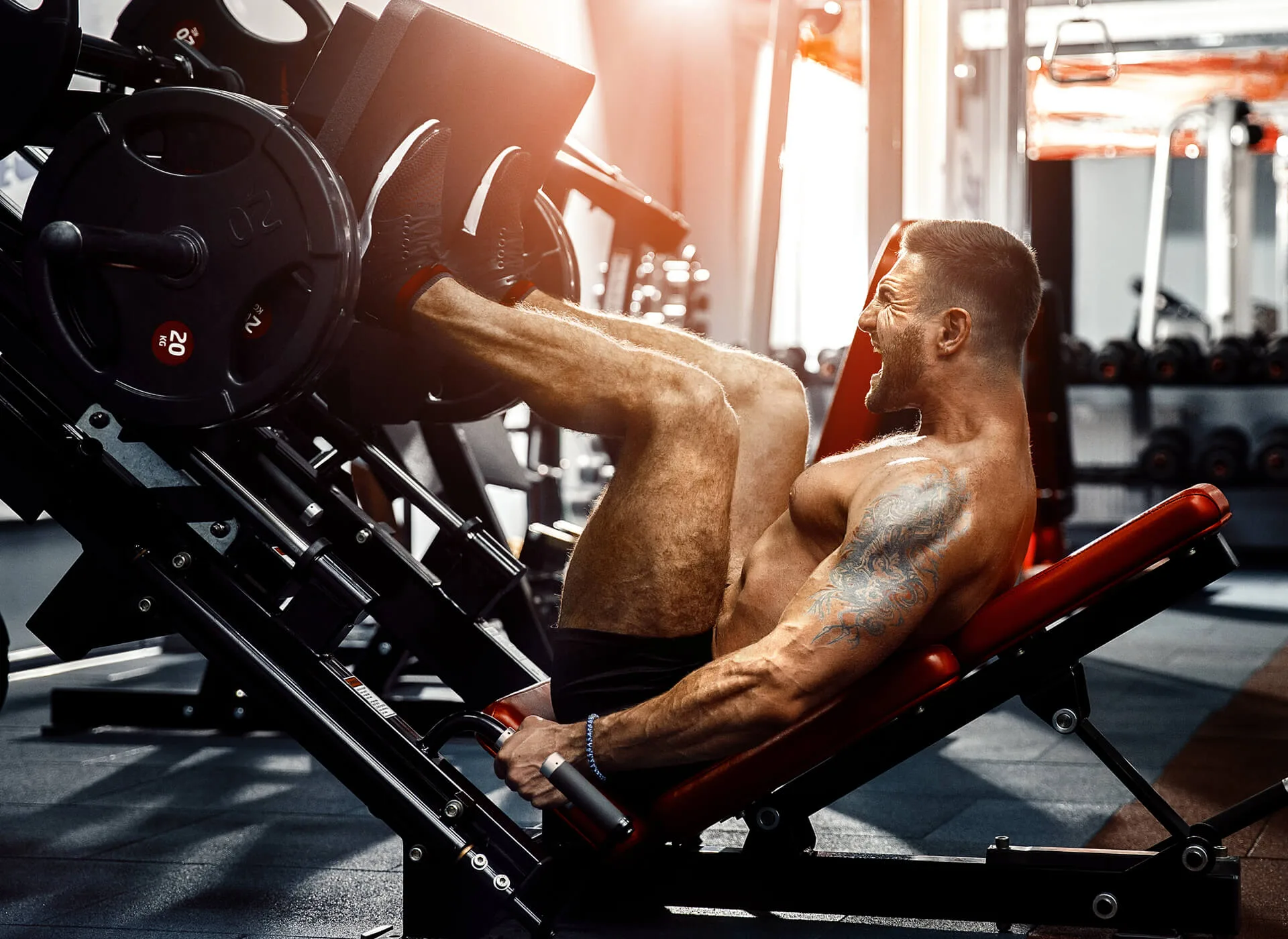 Quality Exercise Equipment For Your Home Or Office - 2