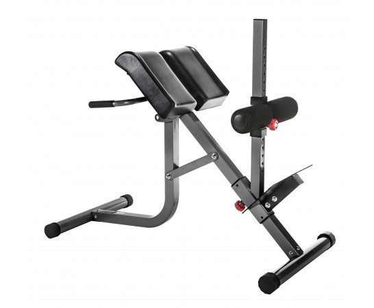 Roman Chair Supporting Angled Back Training