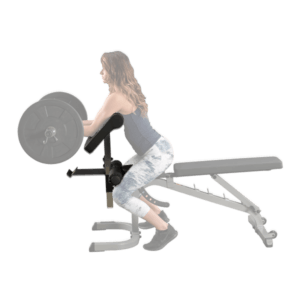 Preacher Curl Isolated