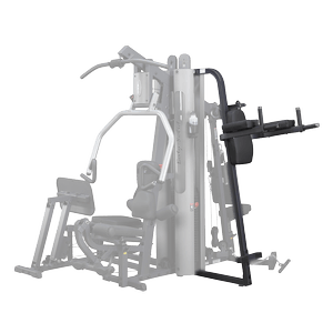Add vertical knee raise and dip capability to G9S home gym