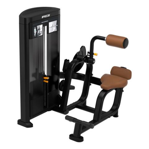 Performing controlled back extension exercises on strength equipment